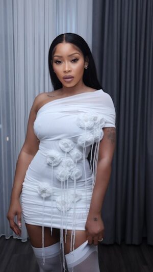Simply Sheer dress